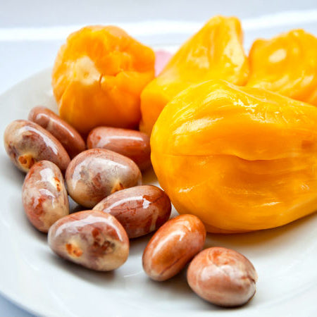  Jackfruit Seeds Sun Dried 100% Pure Ceylon Natural Organic