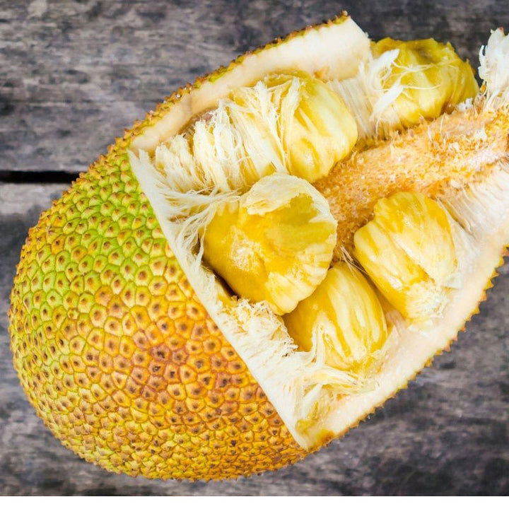  Jackfruit Seeds Sun Dried 100% Pure Ceylon Natural Organic