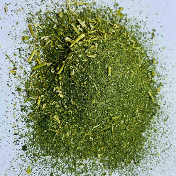 Dried Kuppaimeni leaves tea cut (Acalypha Indica) showing the finely cut, small green pieces ready for herbal infusion