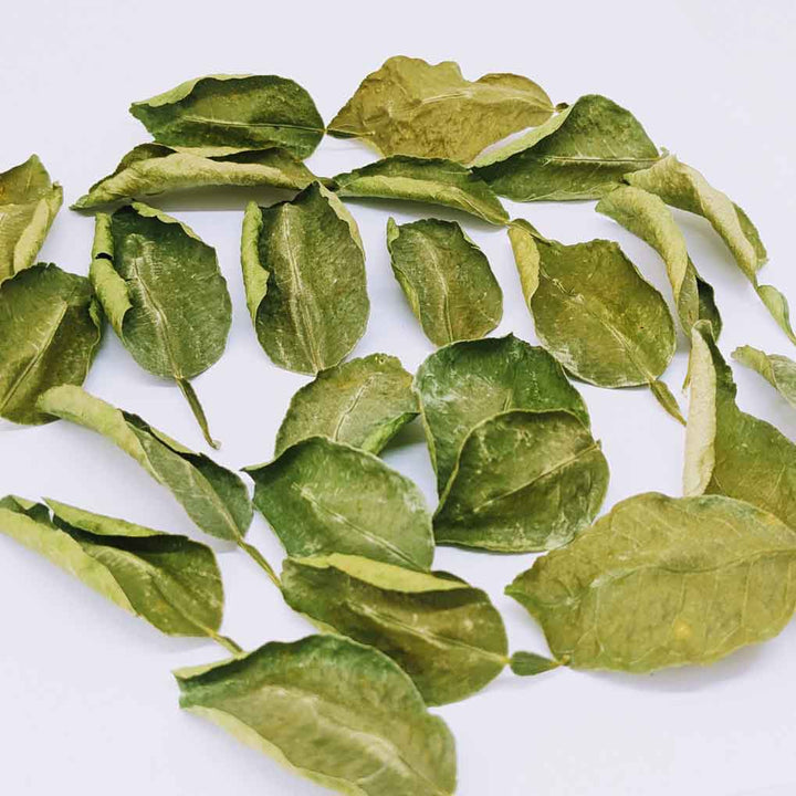 makrut lime leaves,green leaf thai,lime leaf thai,lime leaves for cooking,citrus hystrix leaf,leaf lime