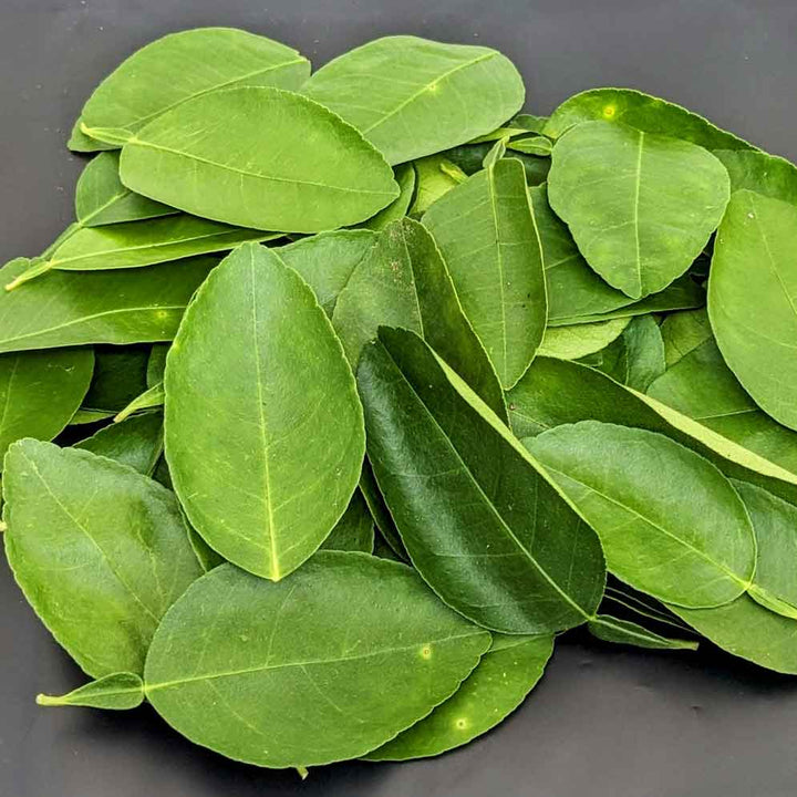 organic lime leaves,dried lime leaves,including digestive and immune system support, fresh flavors,Kaffir Lime Leaves (Citrus Hystrix),Lime Leaf Curry,Lime Leaf Tea.