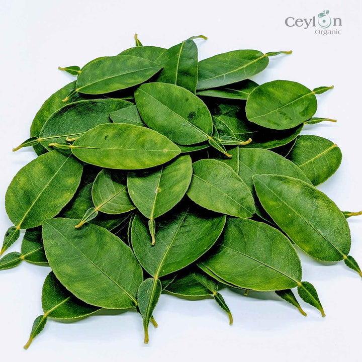 Dried lime leaves used to add a citrusy flavor to soups, curries, and stews.