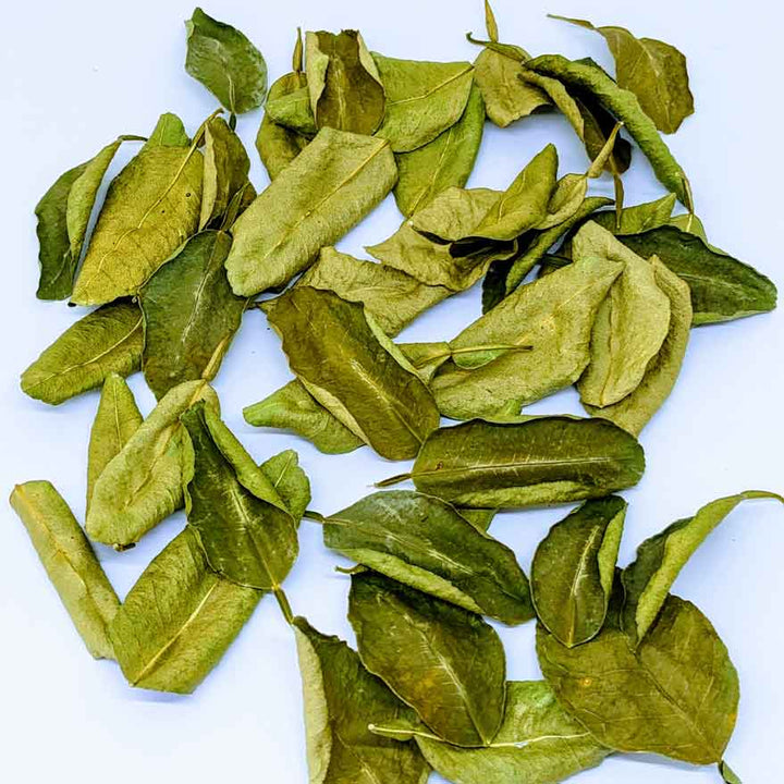 fresh dreid lime leaves,Citrusy,Fragrant,Zesty,Spice,Seasoning,NON GMO 