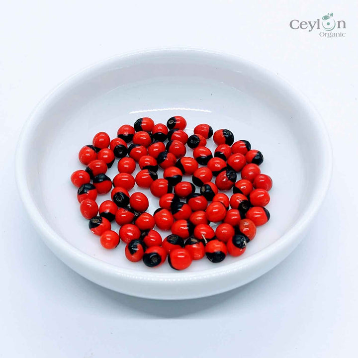 Gumchi Lucky Beads , Abrus precatorius Rosarypea Peonia Rati Beads ,  Red Seeds