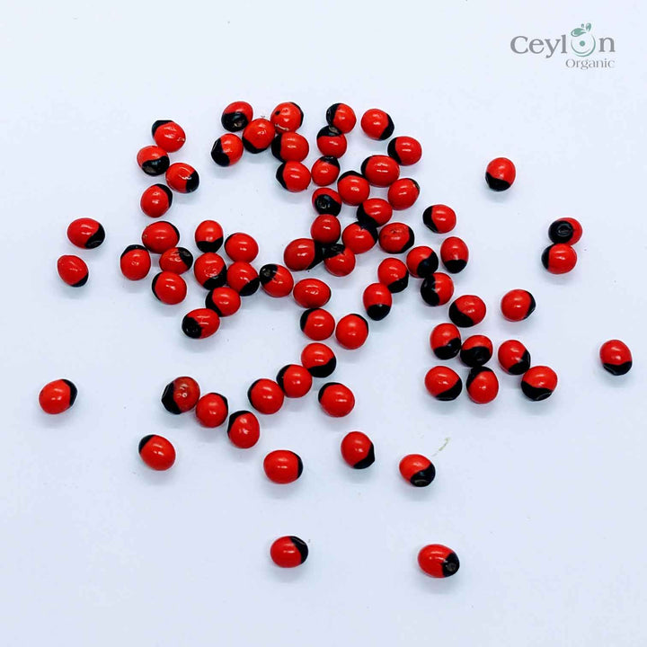 Gumchi Lucky Beads , Abrus precatorius Rosarypea Peonia Rati Beads , Red Seeds