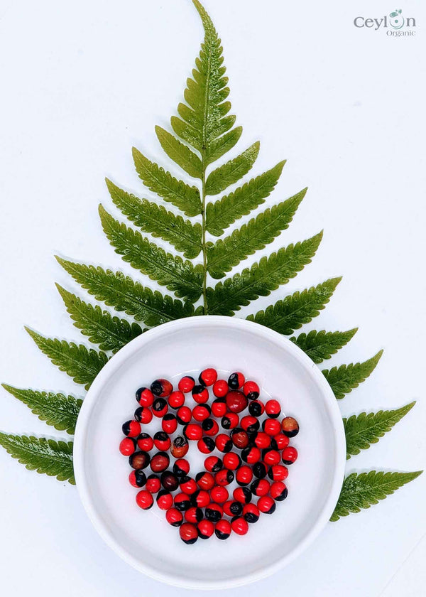 300+ Lucky seeds, Prayer Beads, Rosary Beads | Ceylon Organic
