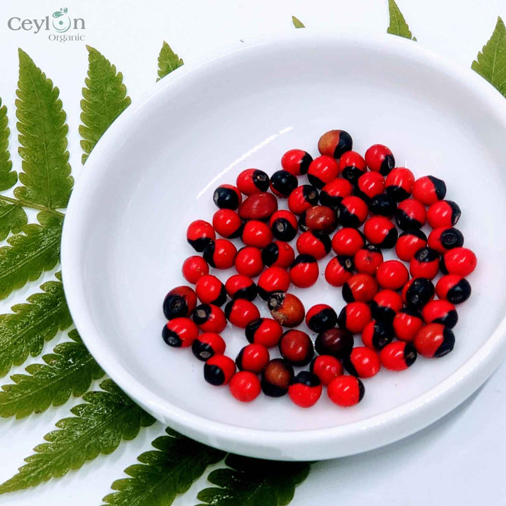 red prayer plant seeds Lucky seeds, Prayer Beads, Rosary Beads | Ceylon Organic