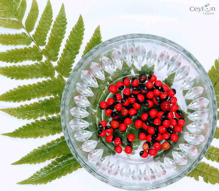 red prayer plant seeds Lucky seeds, Prayer Beads, Rosary Beads | Ceylon Organic