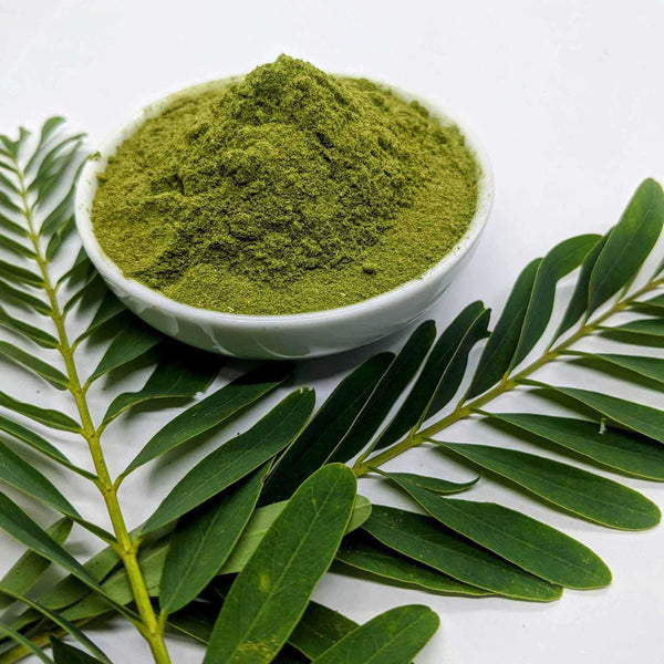 5kg+ Dried Moringa Oleifera Leaf/Leaves powder, 100% Organic natural Dried Leaves Powder | Ceylon Organic