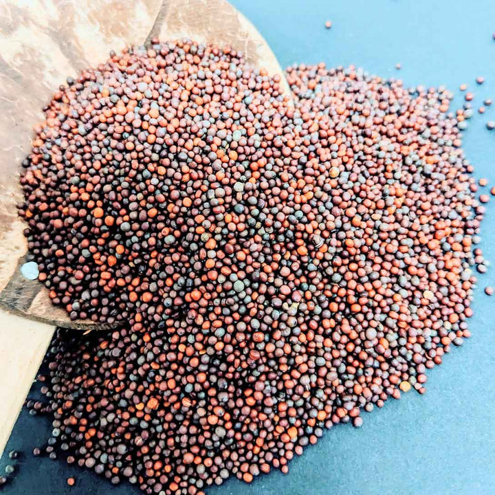 Black Mustard Seeds,Whole Mustard Seeds,Mustard Seeds: Flavorful Addition to Curries,Mustard Seeds for Tempered Spices.