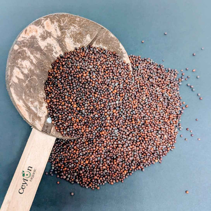 Mustard Seed Plant,Mustard Seed Supplier,Indian Mustard Seeds,Mustard seed spice,Mustard seed nutrition.