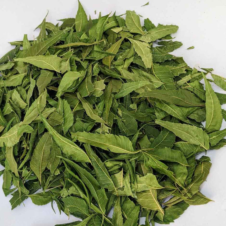 Fresh neem leaves,Organic neem leaves,Neem leaf tea,Neem leaf skincare,Neem leaf for health,Neem leaf for skin