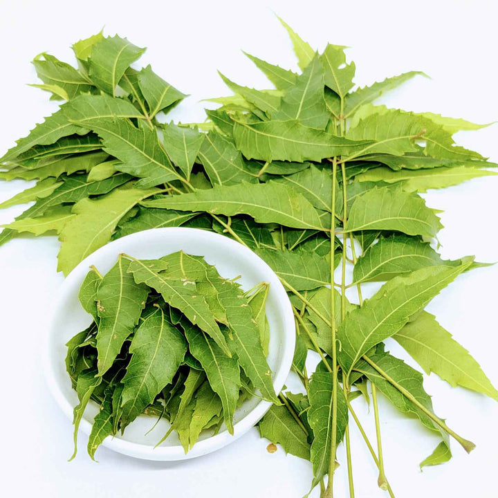 Neem Leaves, Organic Neem, Ayurvedic Herb, Natural Remedy, Skin Care, Hair Care, Oral Health, Insect Repellent, Ceylon Organic, Sri Lanka