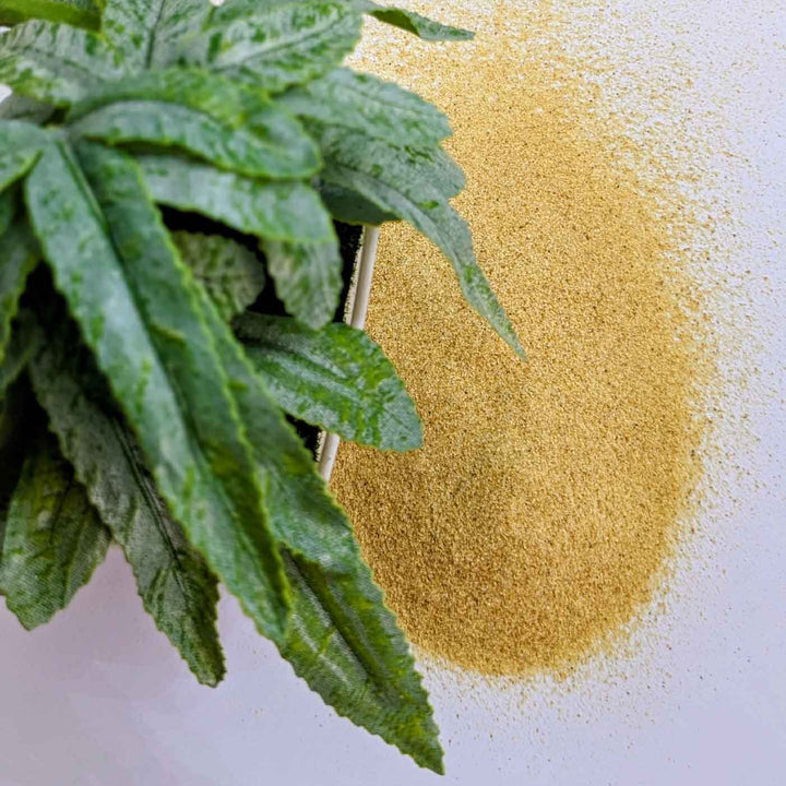 Dried orange peel powder for herbal tea and flavoring