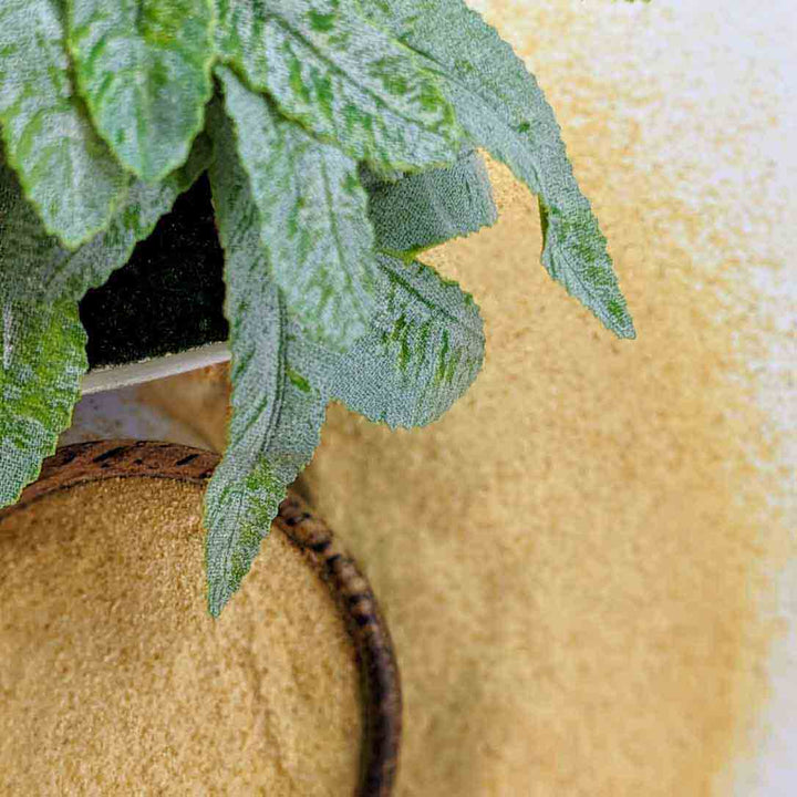 Herbal dried orange peel powder for digestion and wellness