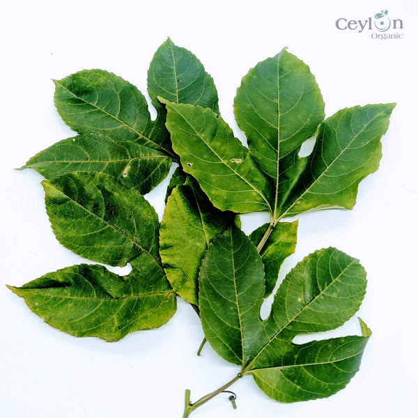 Organic Dried Passion Fruit leaf ,passion leaves tea,