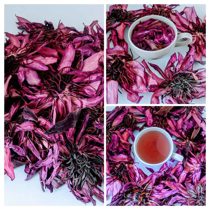 Brew a fragrant tea or craft unique decorations with versatile dehydrated pink lotus flowers.