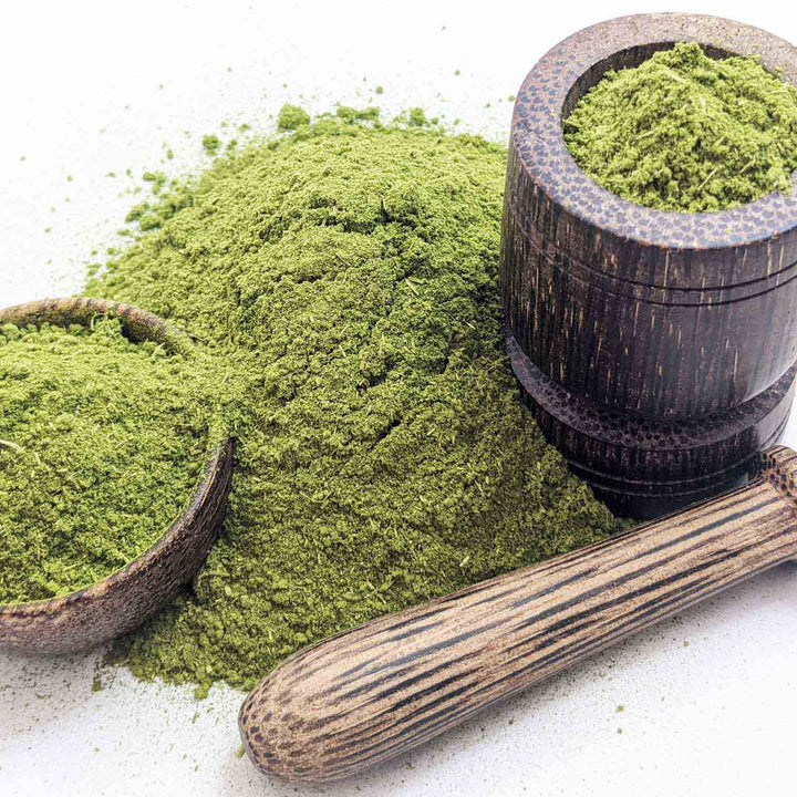 Dried Polpala leaves powder for herbal tea