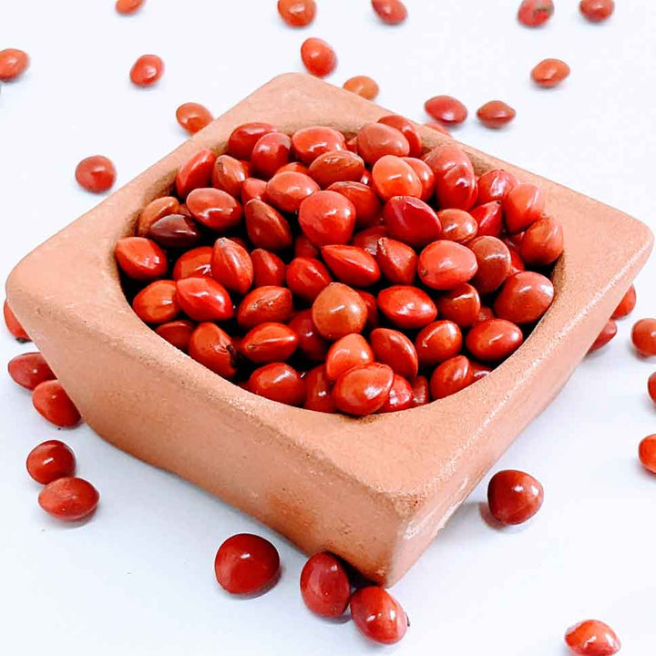 lucky bean plant seed Red Lucky Seeds, Coral Bean, Jewelry Making Beans | Ceylon Organic