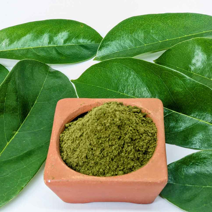 Organic Soursop Leaves Powder,Guanabana Graviola Guyabano Leaves Powder,Natural Soursop Leaf Powder for Wellness,Antioxidant-Rich Soursop Leaves Powder,Soursop Leaves Powder: Support Immunity,Soursop Leaf Powder for Tea & Smoothies,Graviola leaf powder,Organic soursop powder,Soursop tea powder.