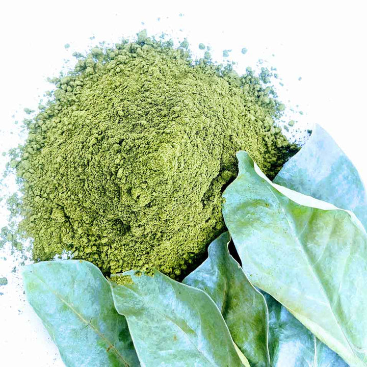 Organic Soursop Leaves Powder,Guanabana Graviola Guyabano Leaves Powder,Natural Soursop Leaf Powder for Wellness,Antioxidant-Rich Soursop Leaves Powder,Soursop Leaves Powder: Support Immunity,Soursop Leaf Powder for Tea & Smoothies,Graviola leaf powder,Organic soursop powder,Soursop tea powder