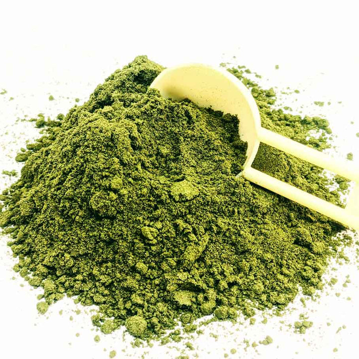 Soursop powder for diabetes,Soursop Leaves Powder,Soursop Leaf Powder for Cooking,Soursop Leaf Powder as Food Coloring,Culinary Soursop Leaf Powder,Soursop leaf powder for hair growth.