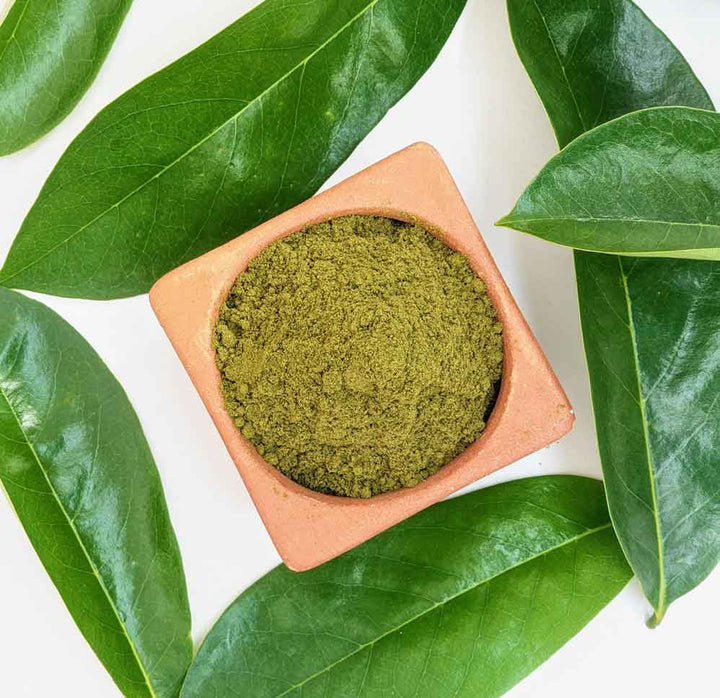 Organic Soursop Leaves Powder,Guanabana Graviola Guyabano Leaves Powder,Natural Soursop Leaf Powder for Wellness,Antioxidant-Rich Soursop Leaves Powder,Soursop Leaves Powder: Support Immunity,Soursop Leaf Powder for Tea & Smoothies,Graviola leaf powder,Organic soursop powder,Soursop tea powder.