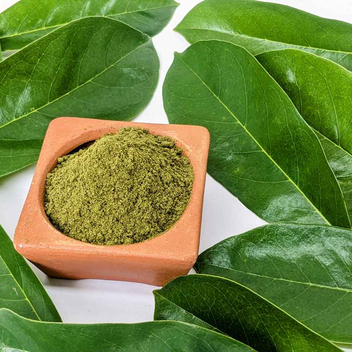 Organic Soursop Leaves Powder,Guanabana Graviola Guyabano Leaves Powder,Natural Soursop Leaf Powder for Wellness,Antioxidant-Rich Soursop Leaves Powder,Soursop Leaves Powder: Support Immunity,Soursop Leaf Powder for Tea & Smoothies,Graviola leaf powder,Organic soursop powder,Soursop tea powder.