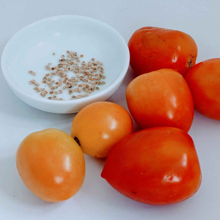 Non-GMO Ceylon Organic tomato seeds, perfect for starting your own tomato garden.