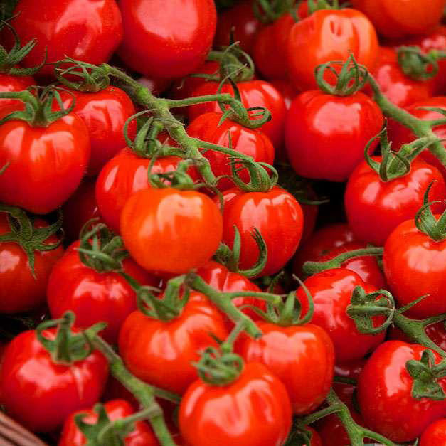  Tomato seeds, Large Red Cherry Tomato Seeds, Tomatoes Vegetable Fruit Seeds