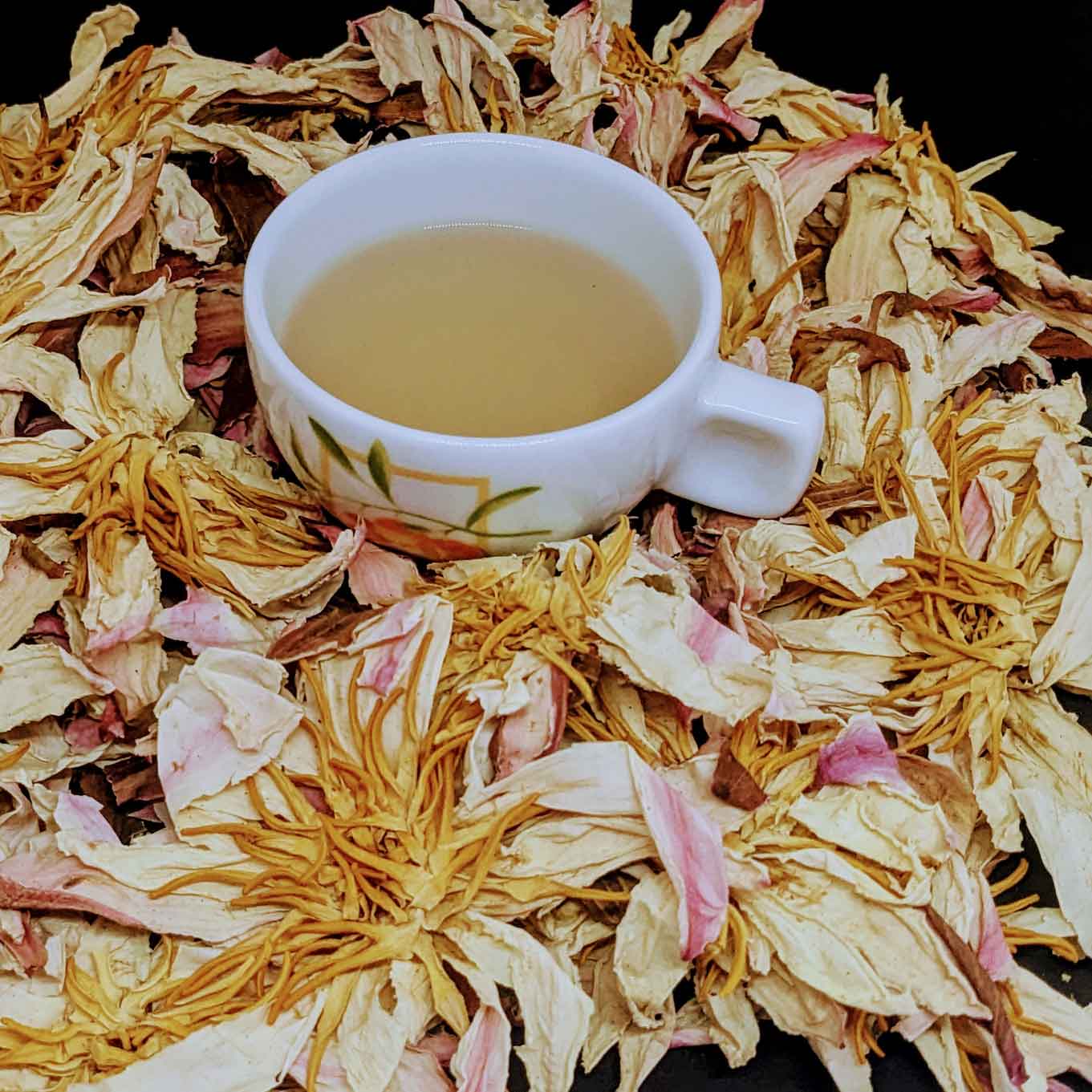 Dehydrated Tea Premium Dehydrated White Lotus Flowers - Natural Herbal Tea | Ceylon O ...