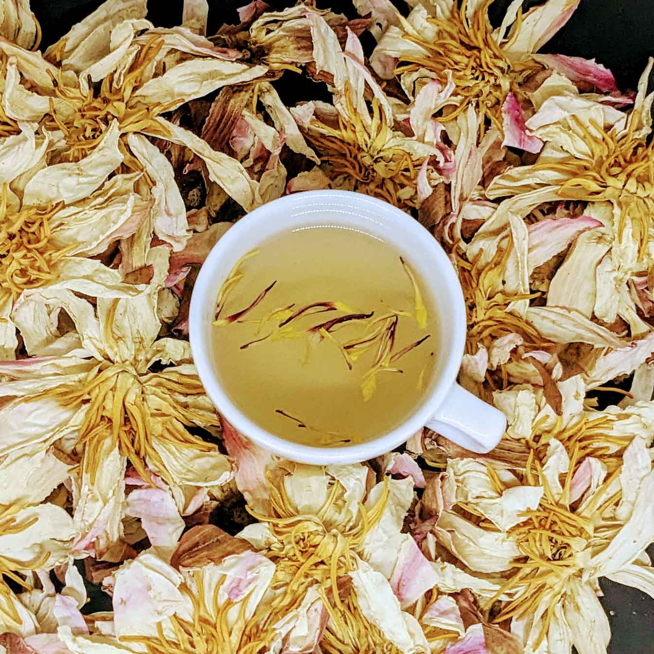 Dehydrated Tea Premium Dehydrated White Lotus Flowers - Natural Herbal Tea | Ceylon O ...
