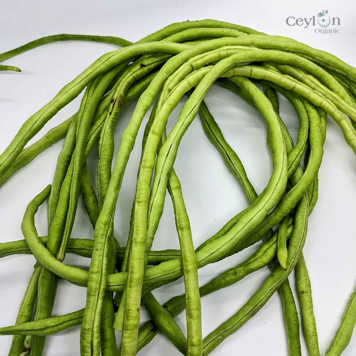 Yardlong Bean Seeds - Order Yours Today and Start Growing Your Own Yardlong Beans!