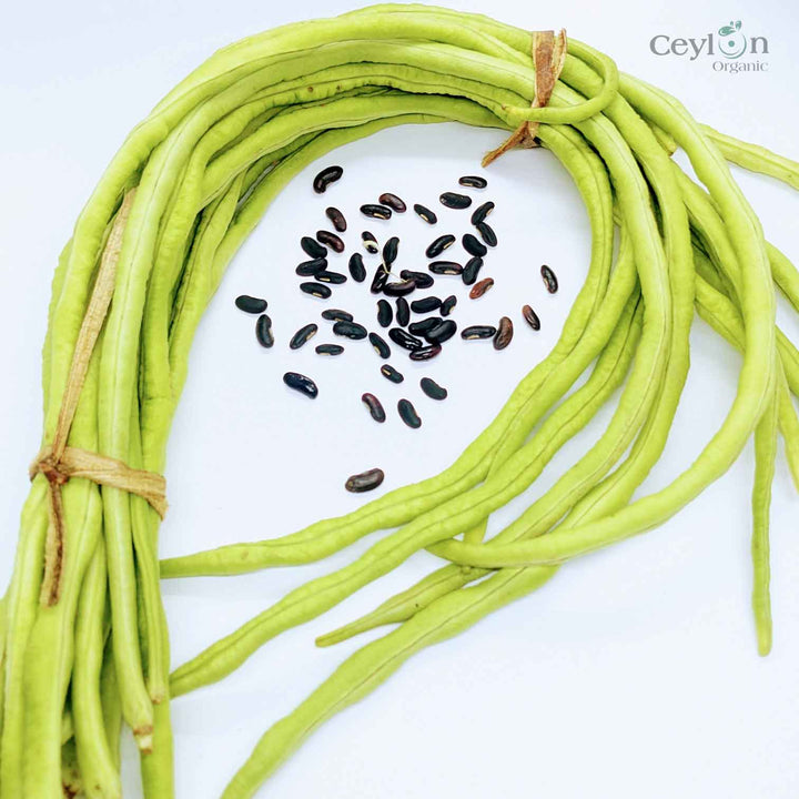 Yardlong Bean Seeds - Versatile and Easy to Prepare, Yardlong Beans Can Be Enjoyed in a Variety of Dishes.